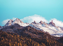 betvictor伟德官网：开启全球体育博彩新纪元的理性选择