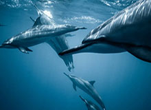 开云网站——让您的数字世界焕发无限可能